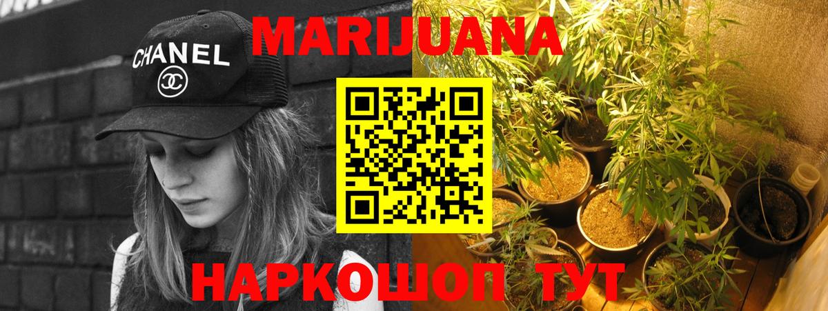 Конопля конопля Дагестанские Огни